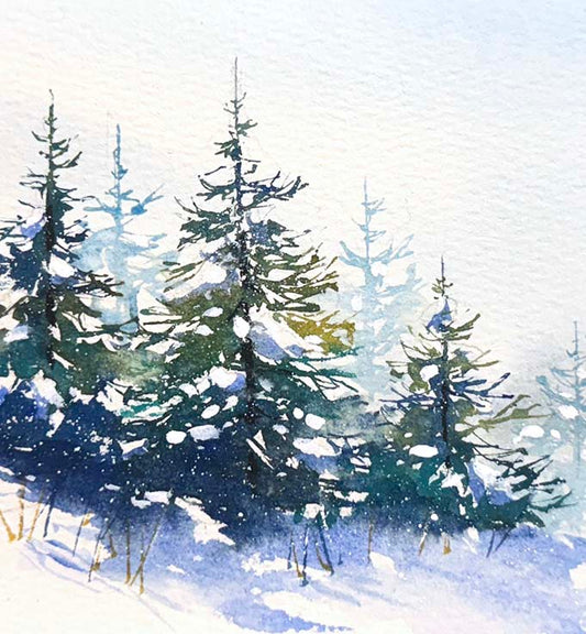 Winter Spruce | 8th or 15th February