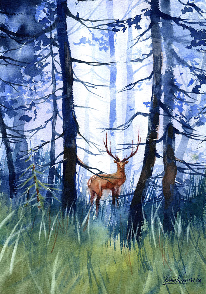 Dreamy forest | 4th October