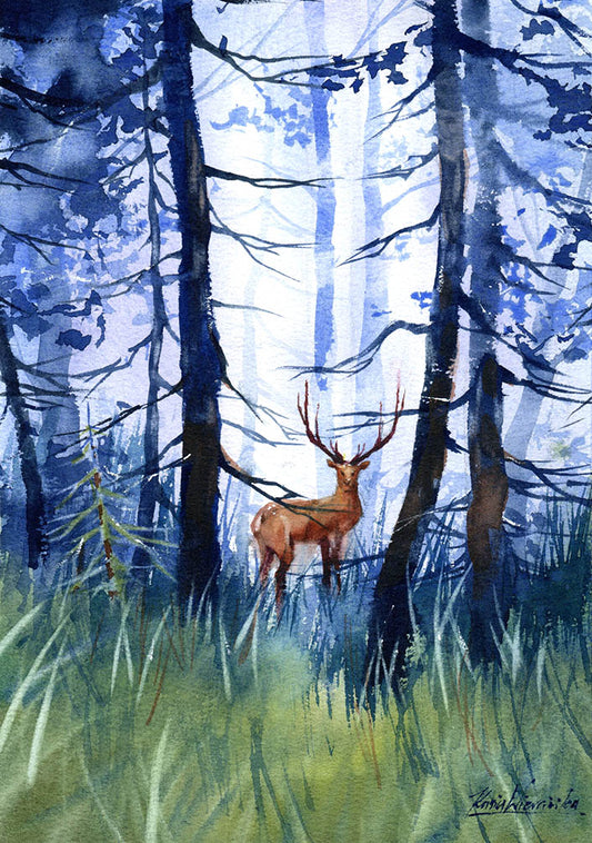 Dreamy forest | 4th October