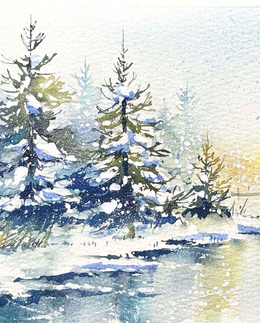 Winter Spruce | 8th February