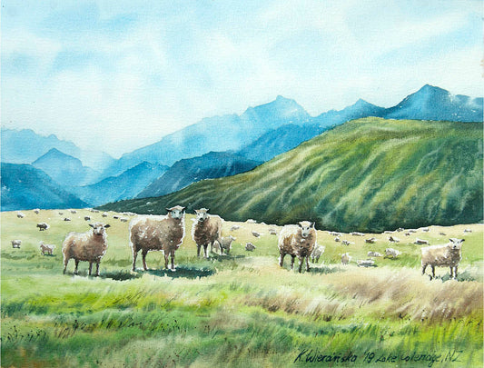 Mountains, Light & Sheep | 27th June