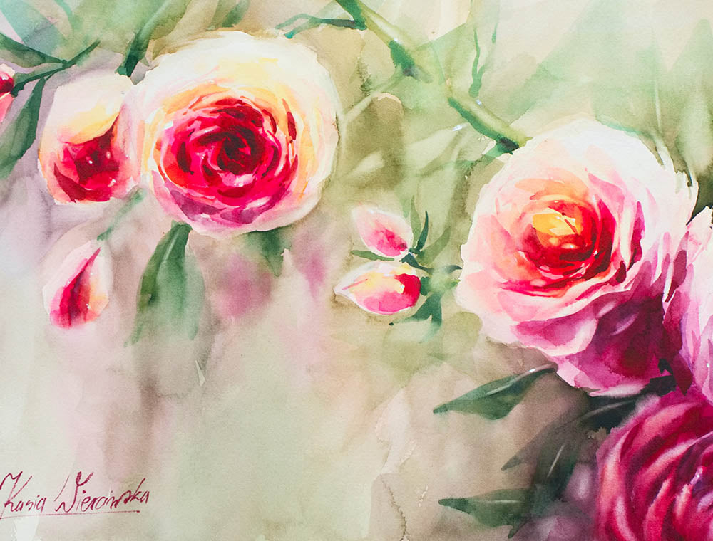 Roses | 6th September